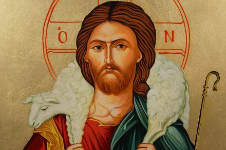 Image result for joke on christ the good shepherd