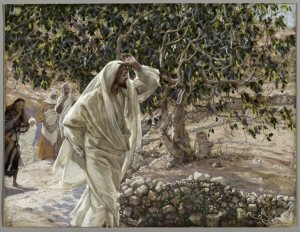 http://kevingriggs.files.wordpress.com/2011/03/jesus-figtree.jpg?w=300&h=232