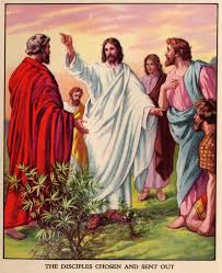 ANd9GcRRuUDzplc8GCRvHSO9IqpFaOOm-_gP2ObmvPx8-4tHp72pLaqkyQ