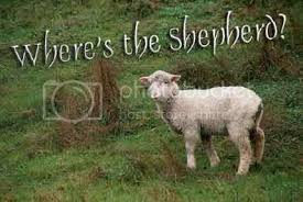 sheep – Linda's Bible Study