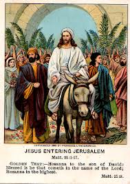 ANd9GcQIob3588xj9D5Tm0nbWzLlTWuBfLMG9c-XgdI1zy7euh14VEYe