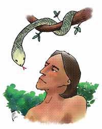 the cover of America, the Catholic magazine