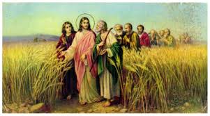 ANd9GcR5ifBvqY0Hc_baILMenoAP2-Tf3PDW-MPZ7X4MJRNWxW-llAVaVw